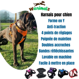 Le harnais avec fonction anti traction est disponible pour les gros chiens dans des couleurs différentes.