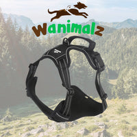 Harnais anti traction pour chien, disponible en noir sur la boutique wanimalz, pour les petites et grandes races