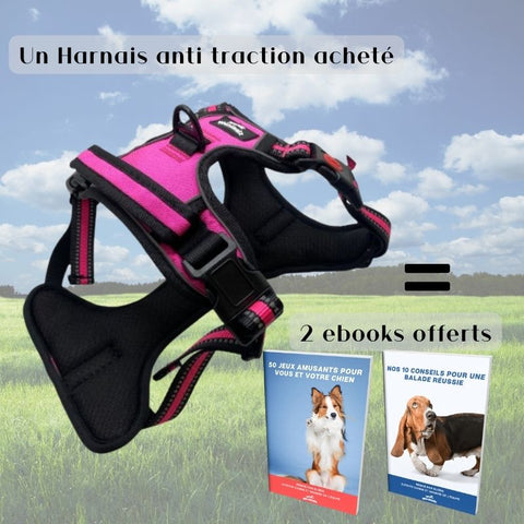 Harnais anti traction de couleur rose idéal pour votre chien