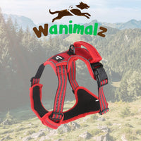Harnais anti traction pour chien, disponible en rouge sur la boutique wanimalz, pour les petites et grandes races