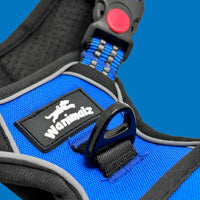 Anneau dorsal robuste du harnais chien anti-traction bleu Wanimalz pour la laisse
