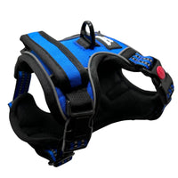 Harnais chien anti-traction bleu Wanimalz, vue latérale avec attache dorsale et sangles renforcées