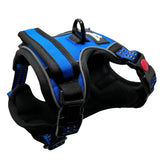 Harnais chien anti-traction bleu Wanimalz, vue latérale avec attache dorsale et sangles renforcées