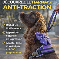 Harnais chien anti-traction Wanimalz confortable pour réduire les tiraillements en laisse