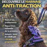 Harnais chien anti-traction Wanimalz confortable pour réduire les tiraillements en laisse
