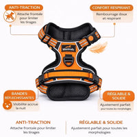 Harnais chien anti-traction orange avec rembourrage respirant et bandes réfléchissantes pour visibilité