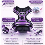 Harnais chien anti-traction violet confortable avec attache frontale et ajustement morphologique