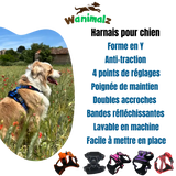 Les harnais des chiens avec le dispositif anti-traction sont beaucoup plus en confort et à l'aise et leurs propriétaires sont plus en sécurité