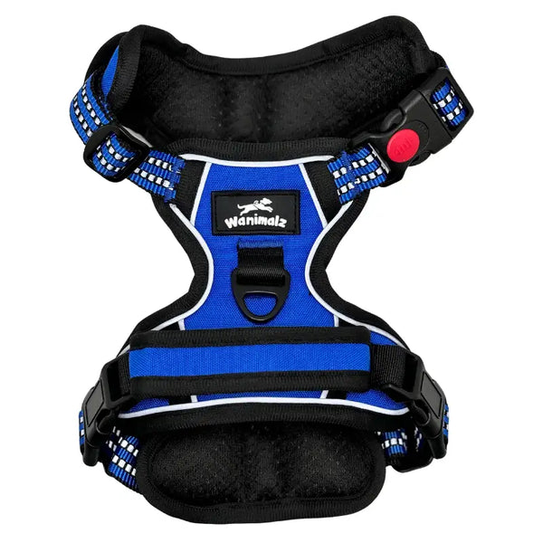 Harnais chien anti-traction bleu Wanimalz, modèle antitraction confortable
