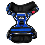 Harnais chien anti-traction bleu Wanimalz, modèle antitraction confortable