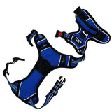 Harnais bleu ergonomique Wanimalz séparé en deux parties