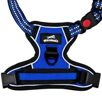 Harnais chien anti-traction bleu Wanimalz, vue dessus avec attache dorsale