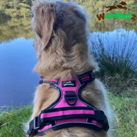 Harnais pour grand chien, la taille XL convient pour les chiens de + de 35 kg