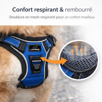 Harnais pour chien avec doublure respirante et rembourrage confortable pour éviter les frottements