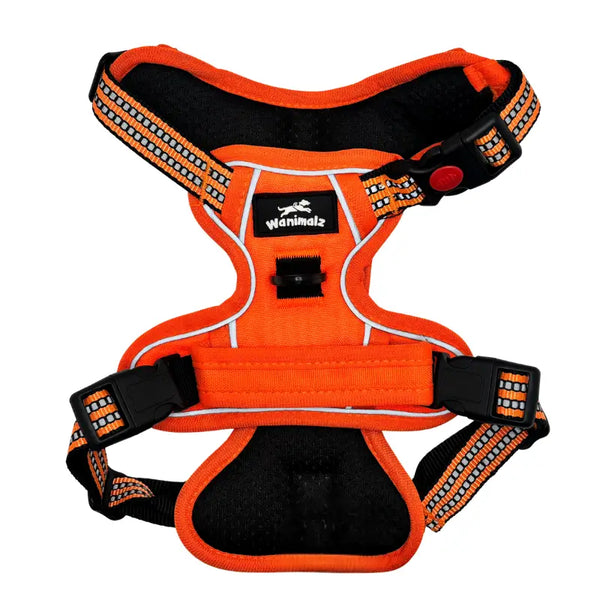 Harnais chien anti-traction orange Wanimalz, confortable et réglable