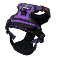 Harnais chien anti-traction violet Wanimalz avec poignée dorsale et système anti-traction