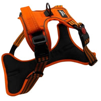 Harnais chien anti-traction orange Wanimalz avec bandes réfléchissantes et boucles sécurisées