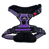 Harnais chien anti-traction violet Wanimalz, harnais en Y sécurisé