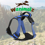 Harnais anti traction pour chien, disponible en bleu sur la boutique wanimalz, pour les petites et grandes races