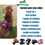 Les harnais pour gros chien anti-traction de forme Y avec réglages multiples disponibles en différentes couleurs.