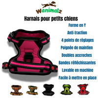 Le harnais pour petit chien avec son accroche anti-traction est disponible en différentes couleurs