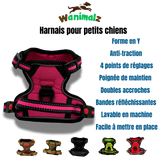Le harnais pour petit chien avec son accroche anti-traction est disponible en différentes couleurs