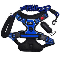 Harnais anti-traction bleu pour chien Wanimalz avec laisse corde et distributeur de sacs