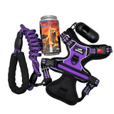 Kit de balade pour chien avec harnais anti-traction et trousse de secours.