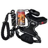 Kit de balade pour chien avec harnais anti-traction noir, laisse amortie et distributeur de sacs.