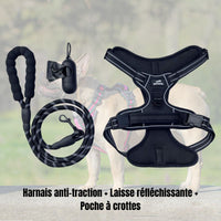 kit harnais pour chien, wanimalz en noir. disponible en taille S au XL