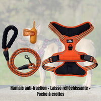Kit de promenade pour chien de couleur orange composé d'un harnais anti-traction, une laisse réfléchissante et d'une poche à crottes