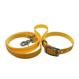 kit laisse collier chien TPU jaune pastel fabrication artisanale dans l’Hérault