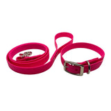laisse et collier chien TPU rose fuchsia imperméable et facile entretien