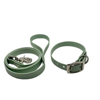 ensemble laisse et collier chien TPU vert sauge facile à nettoyer et durable