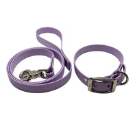 kit laisse collier chien TPU violet résistant à l’eau et usage quotidien
