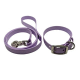 kit laisse collier chien TPU violet résistant à l’eau et usage quotidien