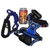 Harnais anti-traction pour chien avec laisse amortie et kit de secours.