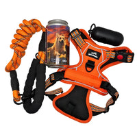 Kit de secours pour chien grande taille avec bandages et soins d’urgence.