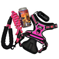 Kit de secours pour chien en promenade avec matériel de premiers soins.