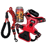 Trousse de secours pour chien avec compresses stériles, bandage et ciseaux