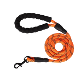 Laisse en corde orange pour chien avec poignée confortable et mousqueton noir