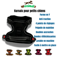 Le meilleur des harnais anti-traction pour petit chien avec son accroche ventrale est disponible en différentes couleurs