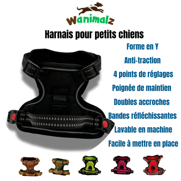 Le meilleur des harnais anti-traction pour petit chien avec son accroche ventrale est disponible en différentes couleurs