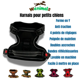 Le meilleur des harnais anti-traction pour petit chien avec son accroche ventrale est disponible en différentes couleurs