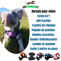 Le meilleur des harnais anti traction pour chien avec ses multiples points de réglages pour un ajustement parfait sur le chien est disponible pour les chiens de toutes tailles dans des couleurs différentes.