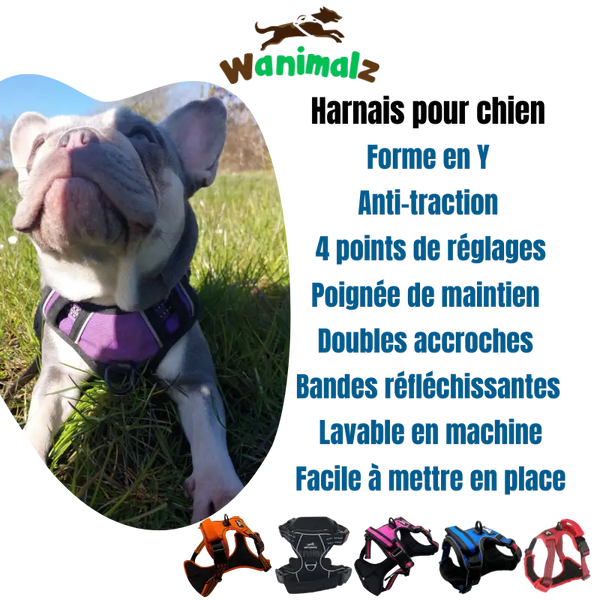 Le meilleur des harnais anti traction pour chien avec ses multiples points de réglages pour un ajustement parfait sur le chien est disponible pour les chiens de toutes tailles dans des couleurs différentes.