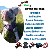 Le meilleur des harnais anti traction pour chien avec ses multiples points de réglages pour un ajustement parfait sur le chien est disponible pour les chiens de toutes tailles dans des couleurs différentes.