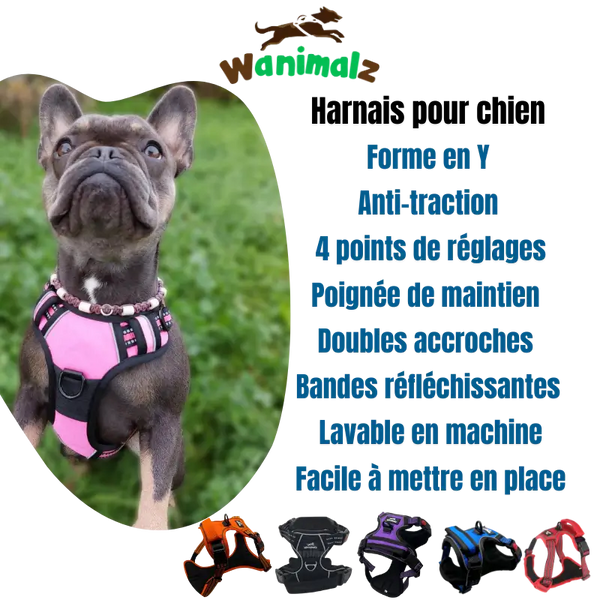Le meilleur des harnais pour chien avec la fonction anti traction est disponible pour les chiens de toutes tailles dans des couleurs différentes.