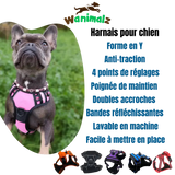 Le meilleur des harnais pour chien avec la fonction anti traction est disponible pour les chiens de toutes tailles dans des couleurs différentes.