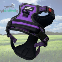 Harnais pour chien qui se balade et voyage - wanimalz.com